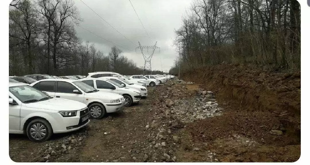قطع 4000 اصله درخت در جنگل نور برای ساخت پارکینگ + واکنش فوری دادستان