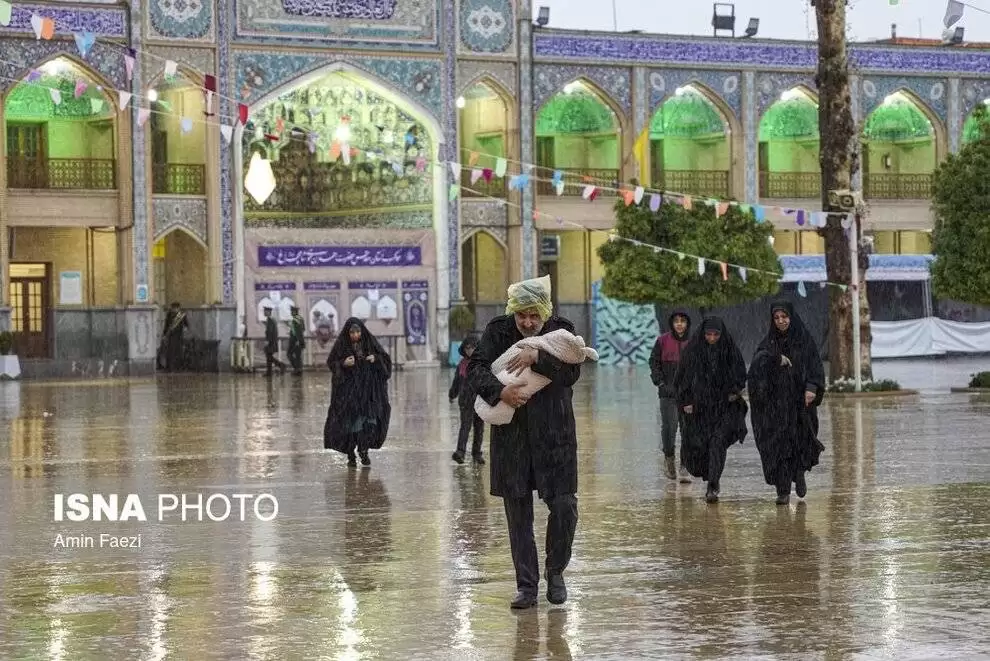تصاویر - باران بهاری در شیراز