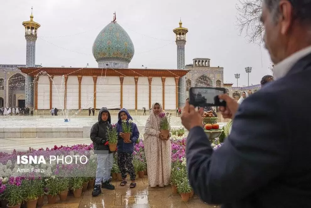 تصاویر - باران بهاری در شیراز