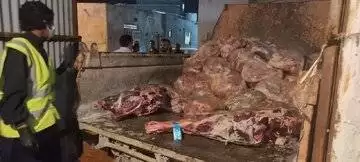کشف بیش از 9 هزار کیلوگرم گوشت و مرغ غیربهداشتی در یک سردخانه -  عکس