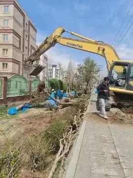 بریدن درختان در حاشیه اتوبان افسریه تهران -  علت شهرداری این بار چیست؟+ عکس