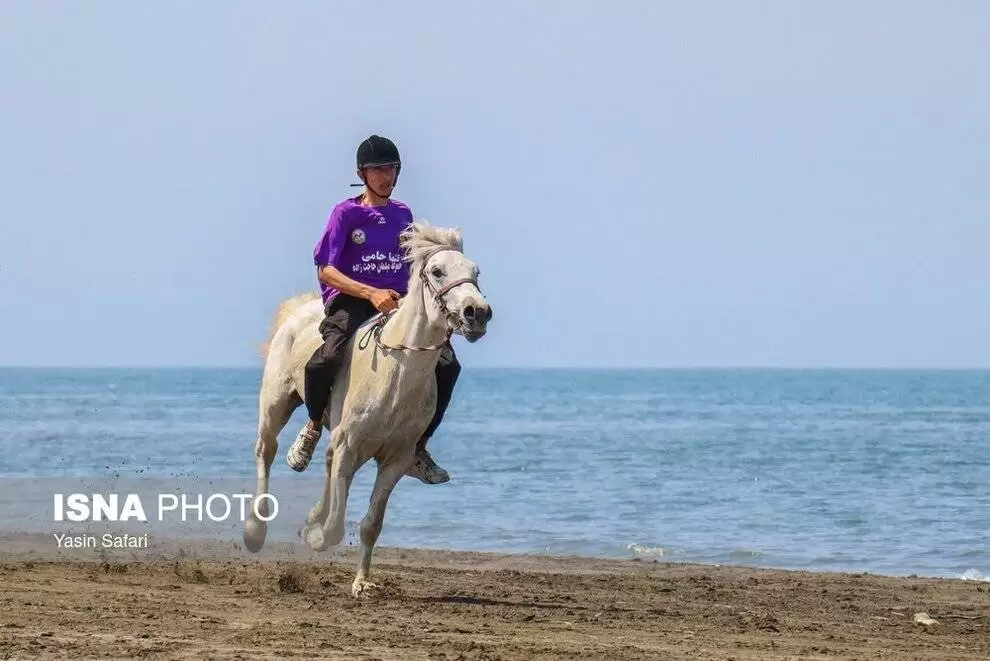 تصاویر - مسابقات اسب دوانی در ساحل انزلی