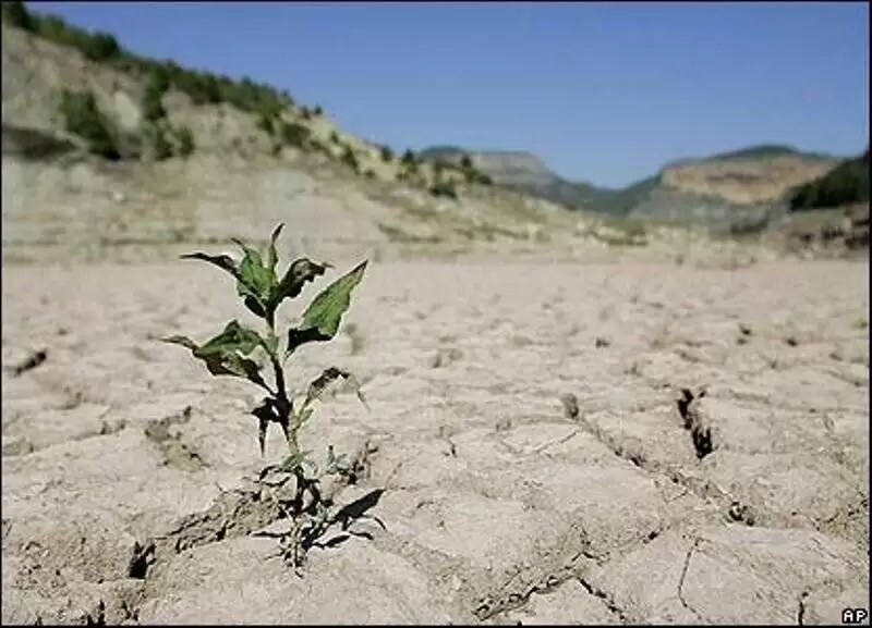کدام نواحی ایران در معرض خشکسالی شدید هستند؟ -  کاهش 11 درصدی بارش ها در دهه 1390-1400