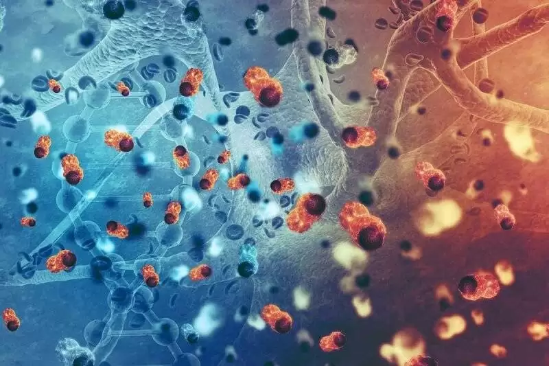 تشخیص سه سرطان مرگبار با هوش مصنوعی  -  خون خشک شده بهتر از خون مایع است