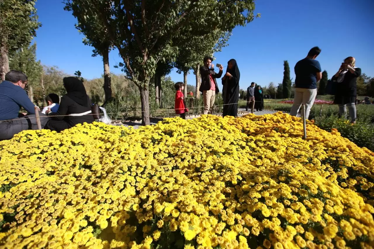 قشنگ ترین گل های جهان، در این نقطه از تهران جمع اند!