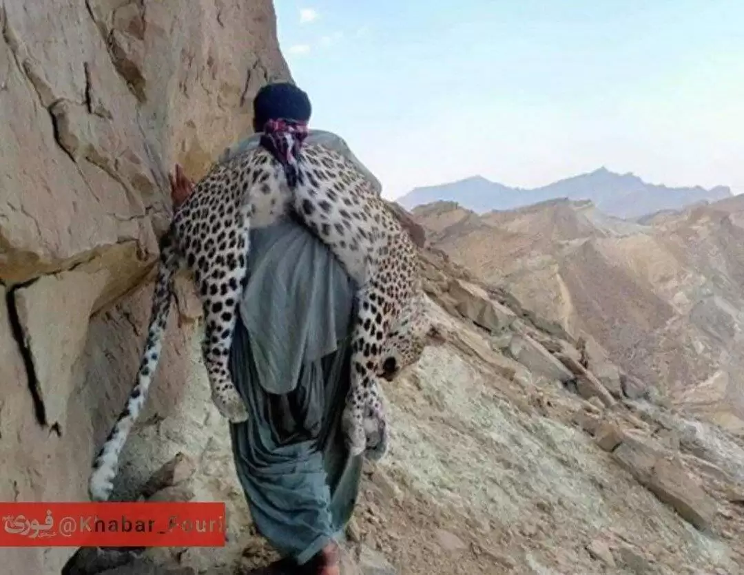 (عکس) شکار پلنگ ایرانی توسط شکارچی پاکستانی