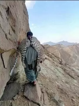 شکار یک پلنگ ایرانی در پاکستان -  عکس