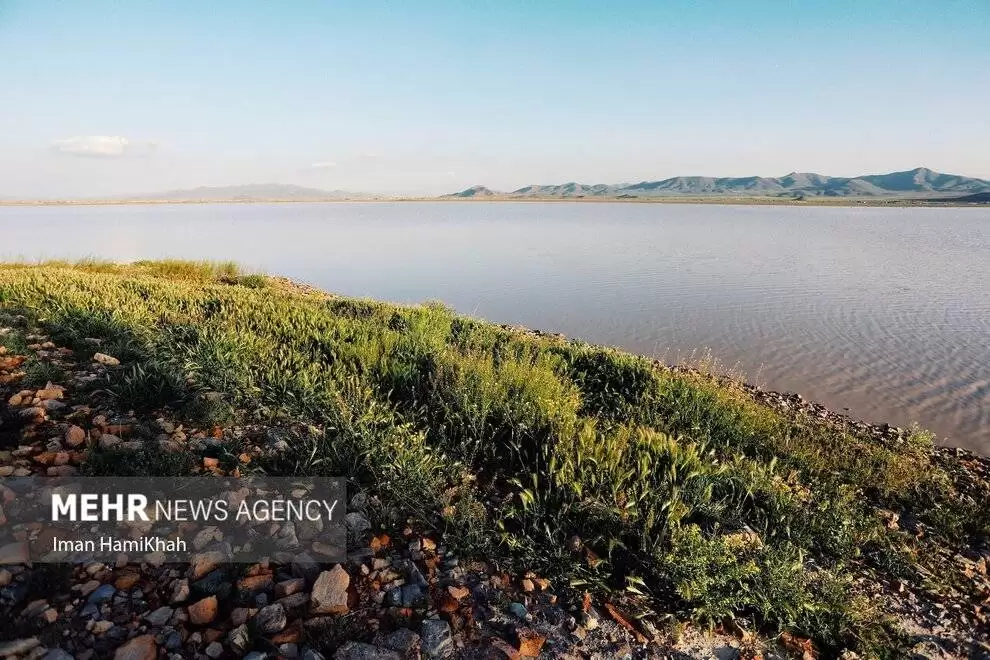 تصاویر - آبگیری تالاب آق گل پس از سه سال خشکسالی