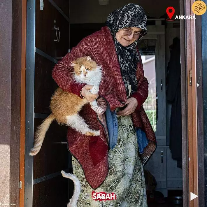 تصاویر - این زن زندگی خود را وقف گربه ها کرد
