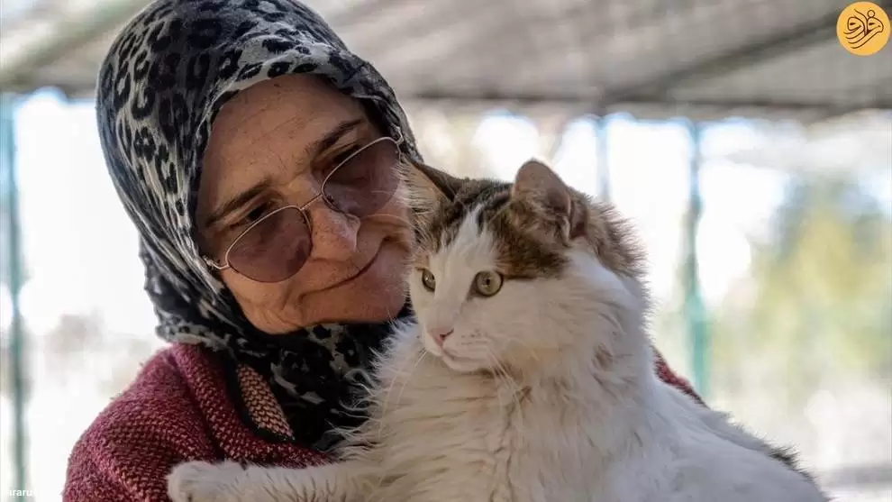 تصاویر - این زن زندگی خود را وقف گربه ها کرد