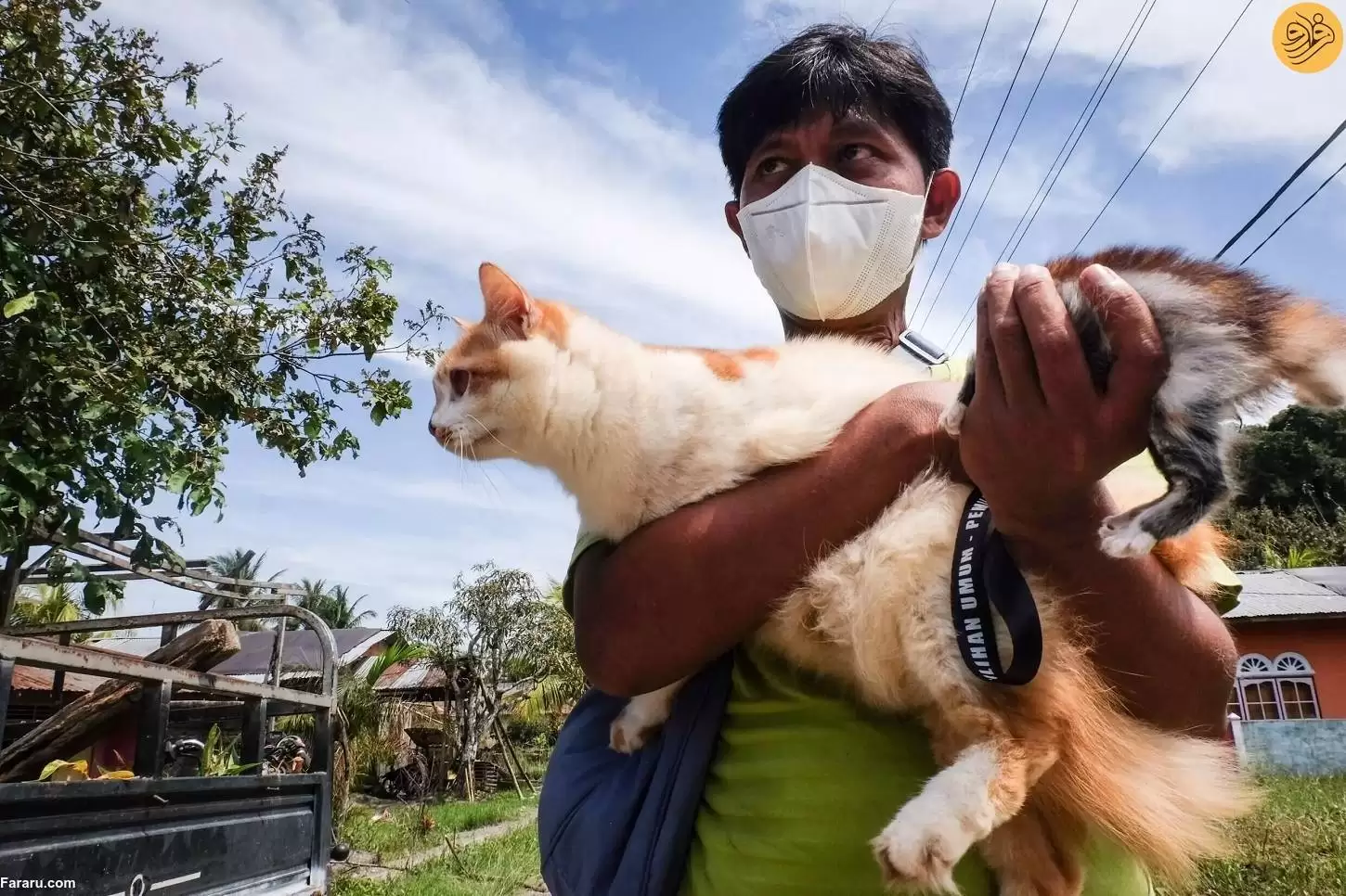 (فیلم) عملیات خطرناک نجات حیوانات خانگی هنگام فوران آتشفشان