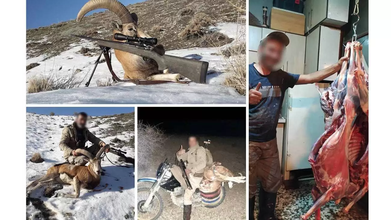 بازداشت 14 شکارچی بی رحم و مسلح در مازندران + تصاویری دلخراش