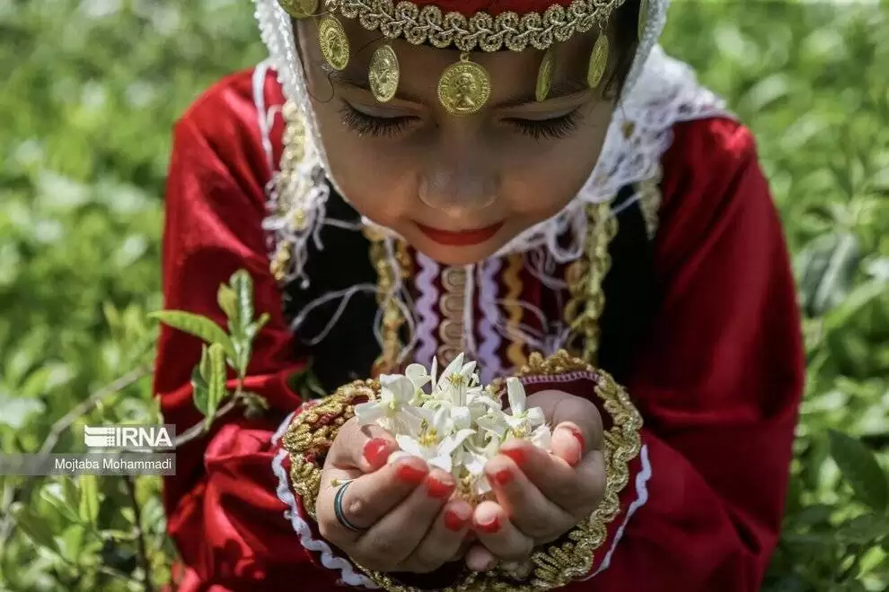 تصاویر - جشنواره ملی بهار نارنج