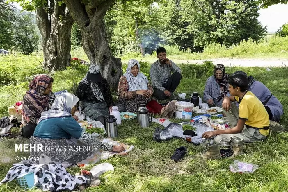 تصاویر - رامیان، قطب توت فرنگی کشور