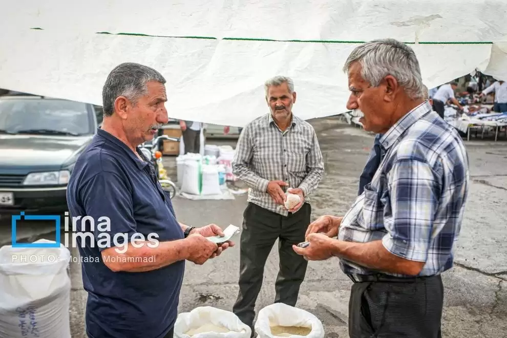 تصاویر - برنجِ گیلان