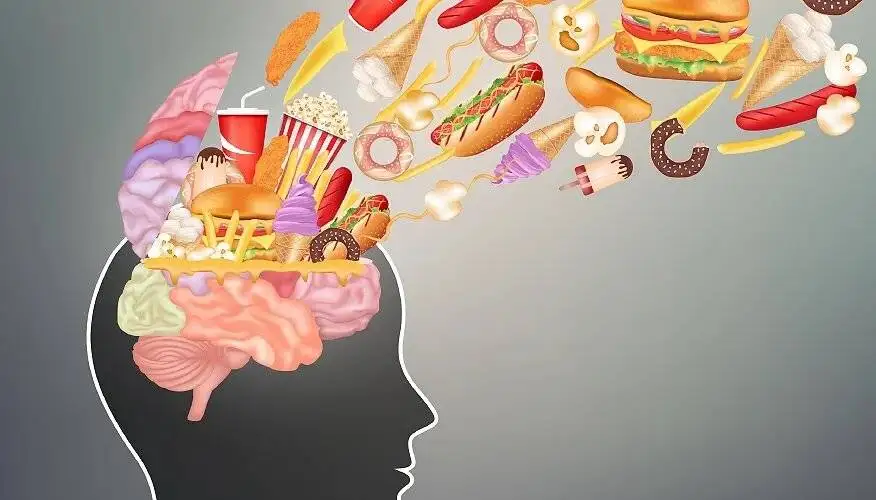 فست فود با مغز ما چه می کند؟