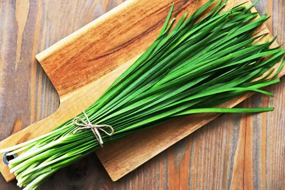 آموزش تهیه خورش تره کردی ؛ خوشمزه و رقیب سرسخت قورمه سبزی