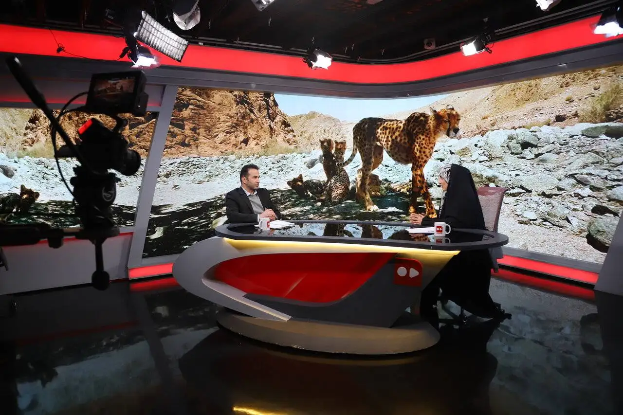 افسانه احیای یوزپلنگ آسیایی با دستان بسته  -  افزایش جمعیت یوز امیدوارکننده است؟