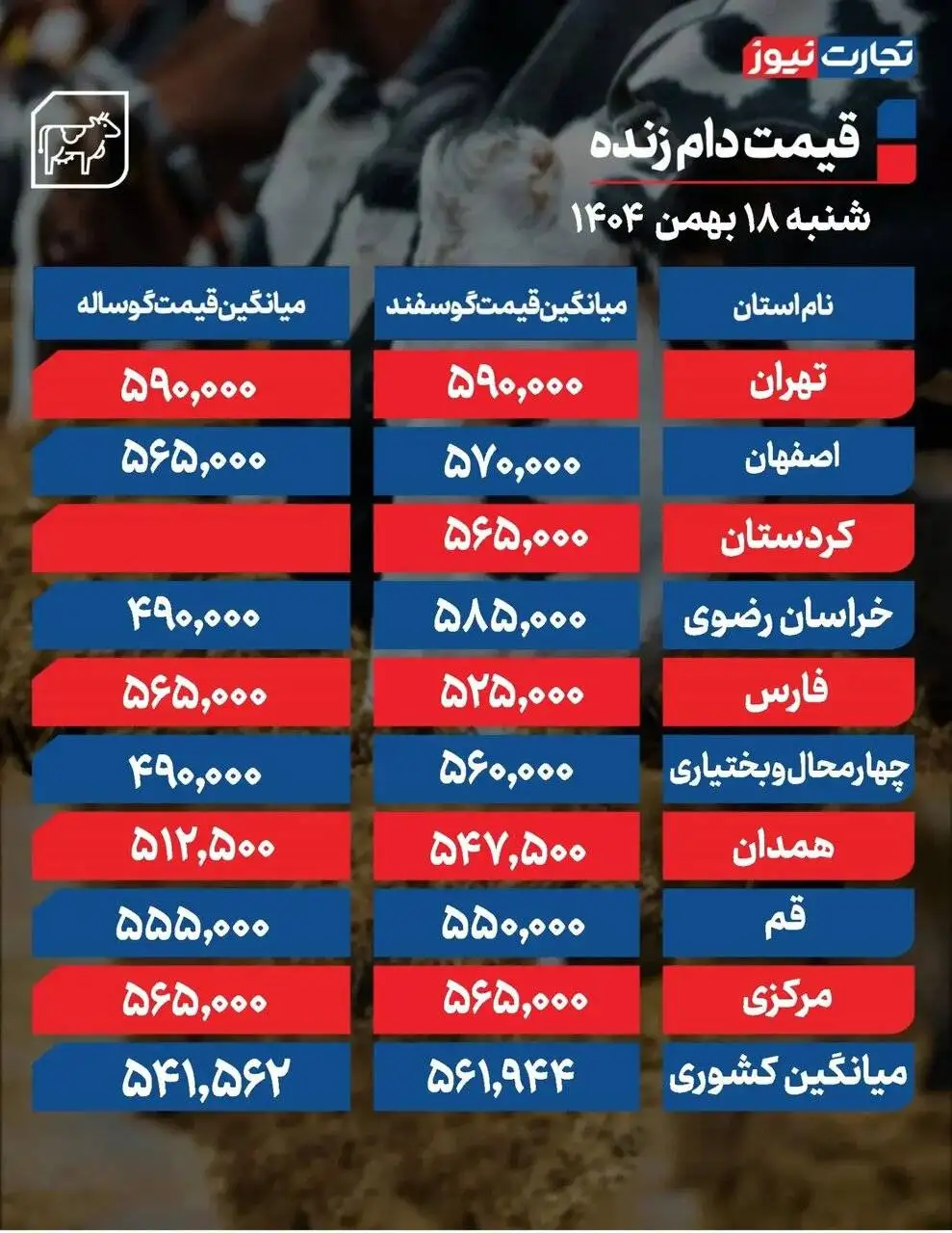 قیمت جدید دام زنده امروز 18 بهمن 1404 -  قیمت گوسفند و گوساله چه تغییری کرد؟ + جدول