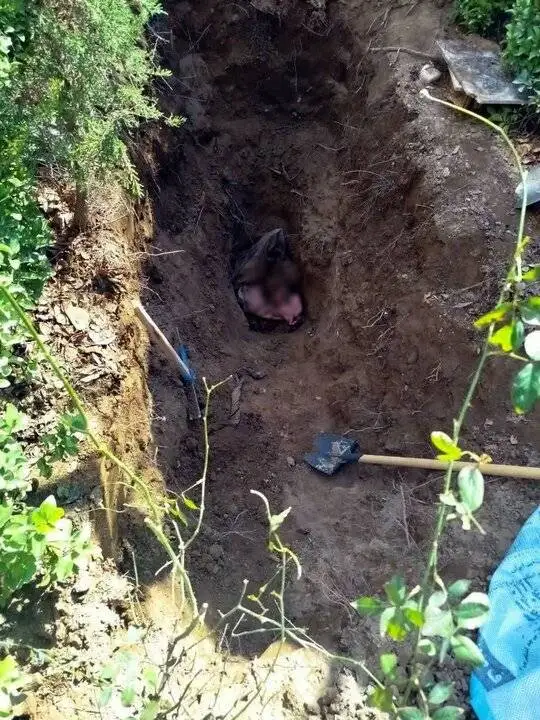 شوهرکشی زن خائن بعد از 4 سال لو رفت  -  کشف بقیای جسد در یک باغ + عکس