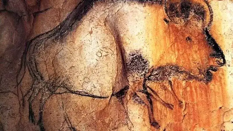 نقاشی های شگفت انگیز در غاری که 21 هزار سال هیچ کس وارد آن نشده بود  -  عکس