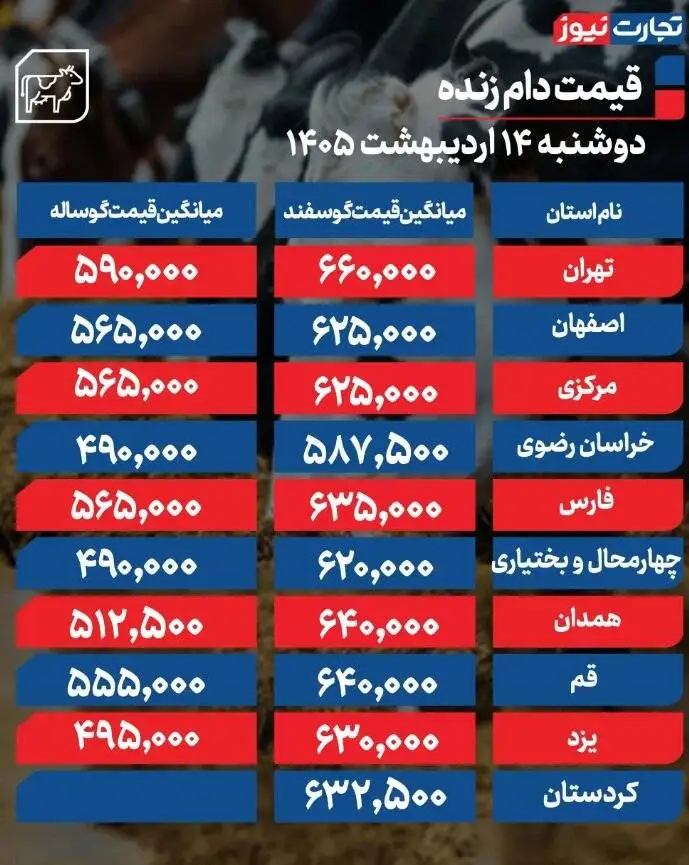قیمت دام زنده امروز 14 اردیبهشت 1405 -  گوسفند در تهران چند شد + جدول