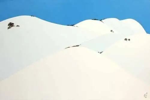 جلال شباهنگی که بود؟