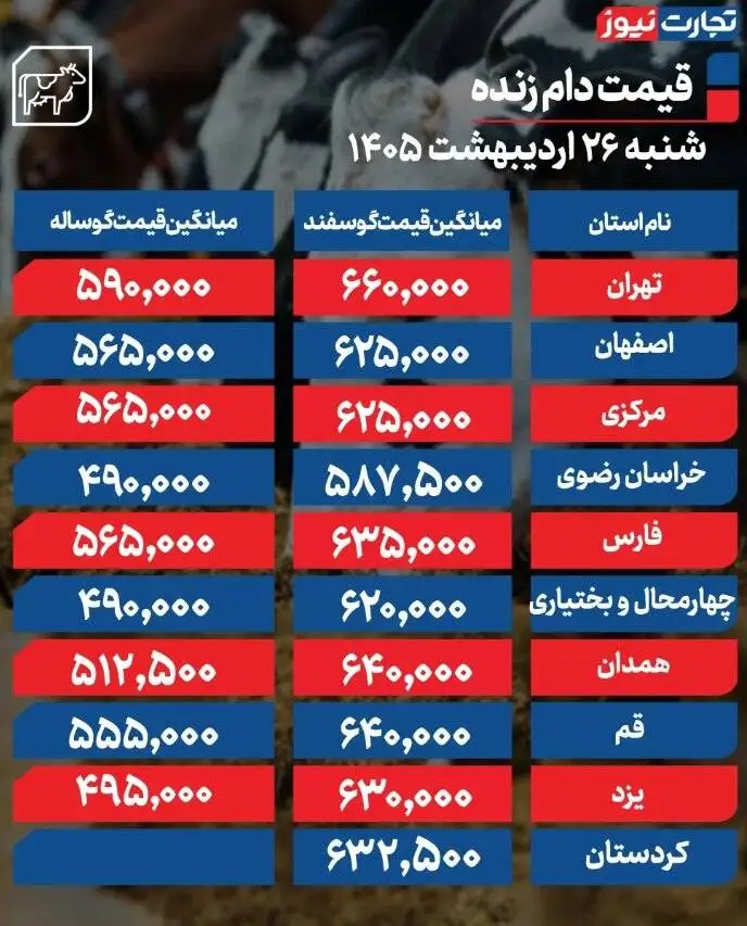 قیمت جدید دام زنده امروز شنبه 26 اردیبهشت 1405 -  قیمت گوسفند و گوساله چه تغییری کرد؟ + جدول