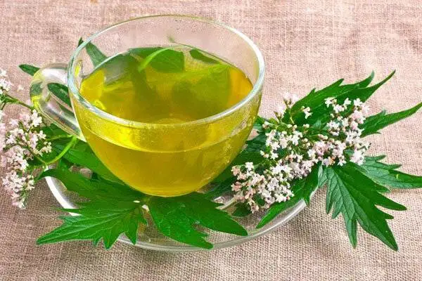 اگر بی قرارید، دلشوره دارید و خوابتان نمی رود، این دمنوش ها را بخورید