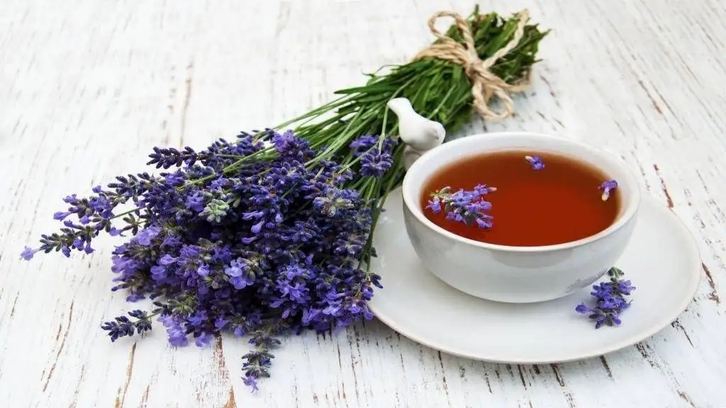 اگر بی قرارید، دلشوره دارید و خوابتان نمی رود، این دمنوش ها را بخورید