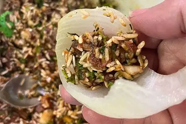 دلمه پیاز مجلسی؛ این دستور پخت طعمش از همه دلمه ها خاص تر است