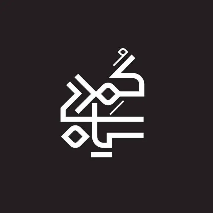 هنرنمایی هنرمند جوان برای میلیاردر مطرح