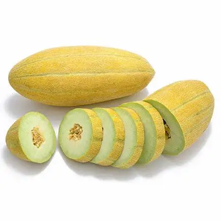 می دانید فلسفه (هر کس خربزه می خوره باید پای لرزش بشینه) چیست؟ + فواید خربزه