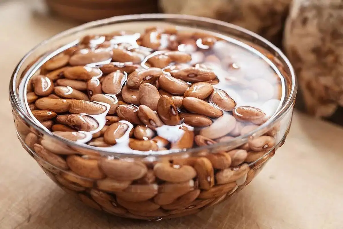 درست کردن خوراک لوبیا قرمز؛ غذایی خوشمزه و پرطرفدار - چگونه می توان نفخ لوبیا قرمز را گرفت؟