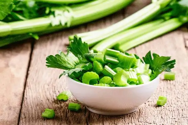 این غذاها هرگز نباید دوباره گرم شوند - بهترین روش گرم کردن دوباره غذا