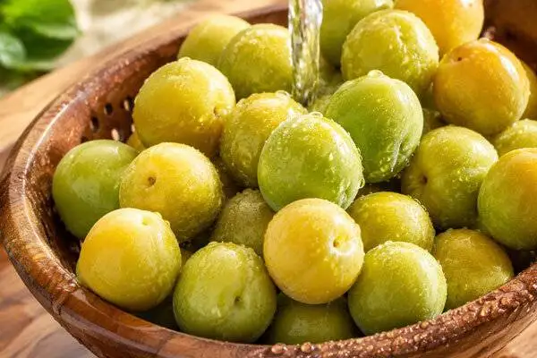 درست کردن رب آلوچه خانگی