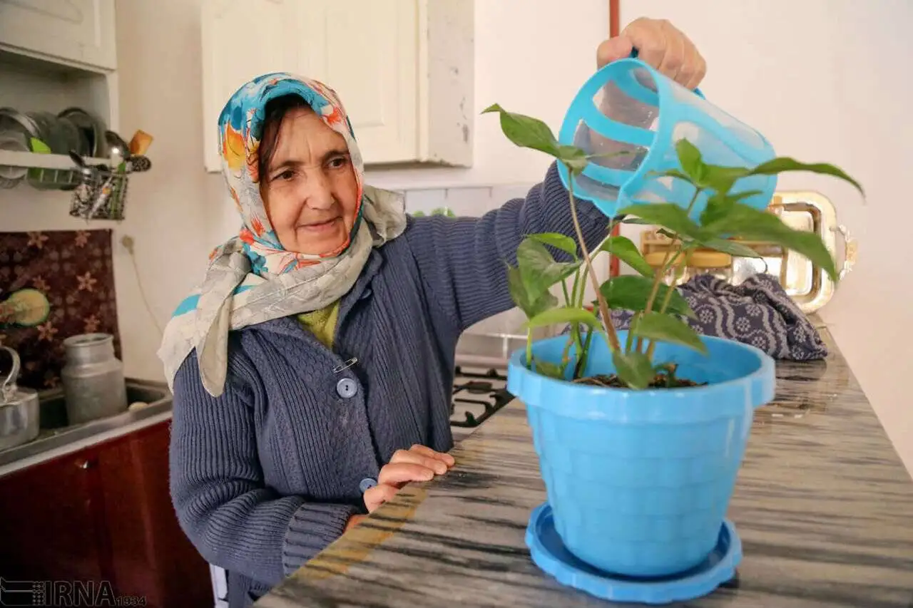 10 سرگرمی که تابستان را برای سالمندان لذت بخش می کند