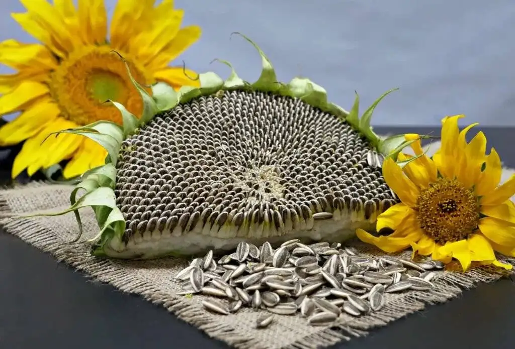 8 خوراکی سیاه با فواید شگفت انگیز برای بدن