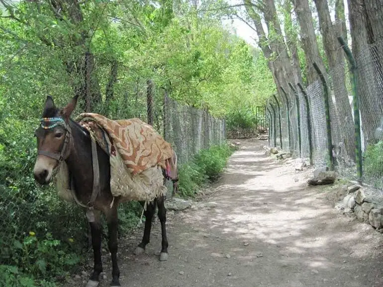 خنکای آخر هفته تهران