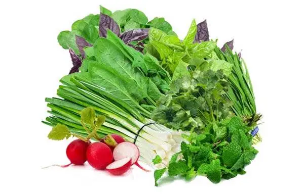 راز تازه ماندن سبزی خوردن تا 2 هفته؛ این روش ساده جلوی پلاسیده شدن آن را می گیرد