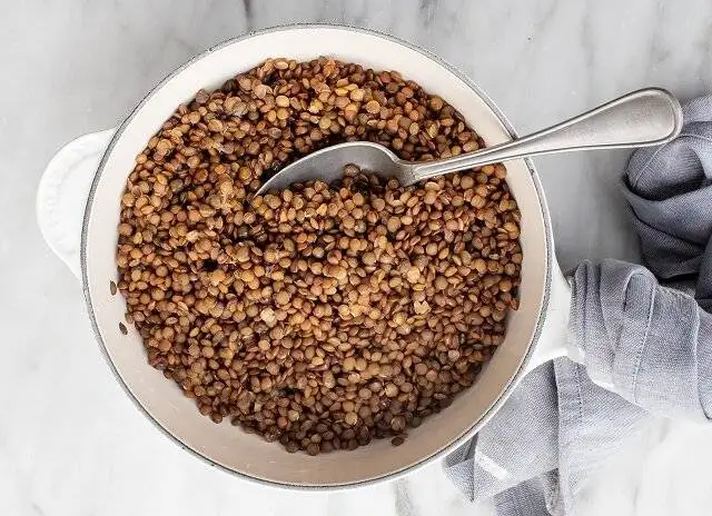 عدس دیرپز را چگونه بپزیم ؟ ؛ نحوه پخت عدس دیرپز