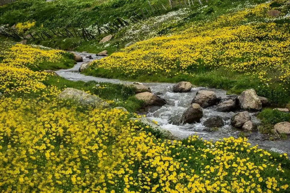 روایتی تصویری از دریاچه سوها تا ارتفاعات خیال انگیز در مرز اردبیل و گیلان - بهشت به سبک ایرانی