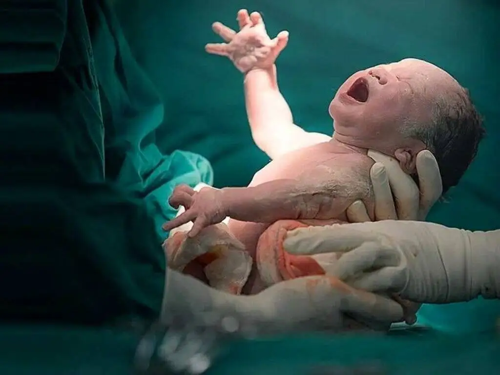 بیمارستان های خصوصی هم به این بیمارستان جنوب تهران ارجاع می دهند - از هزارمین نوزاد ivf تا بزرگ ترین nicu کشور