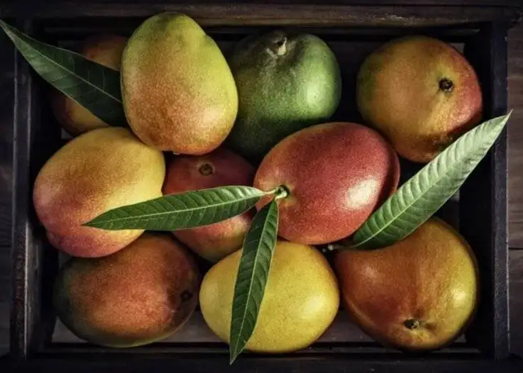با این فیبرهای تابستانی، سلامت بدن تان را حفظ کنید