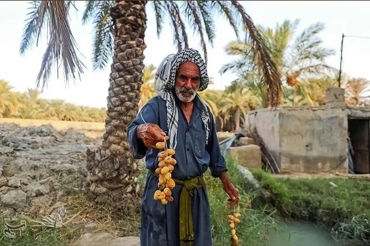 دورهمی تابستان و زمستان در ایران  -  تفاوت دمای شهرهای ایران در گرم ترین روزهای مرداد به حدود 40 درجه سانتی گراد می رسد