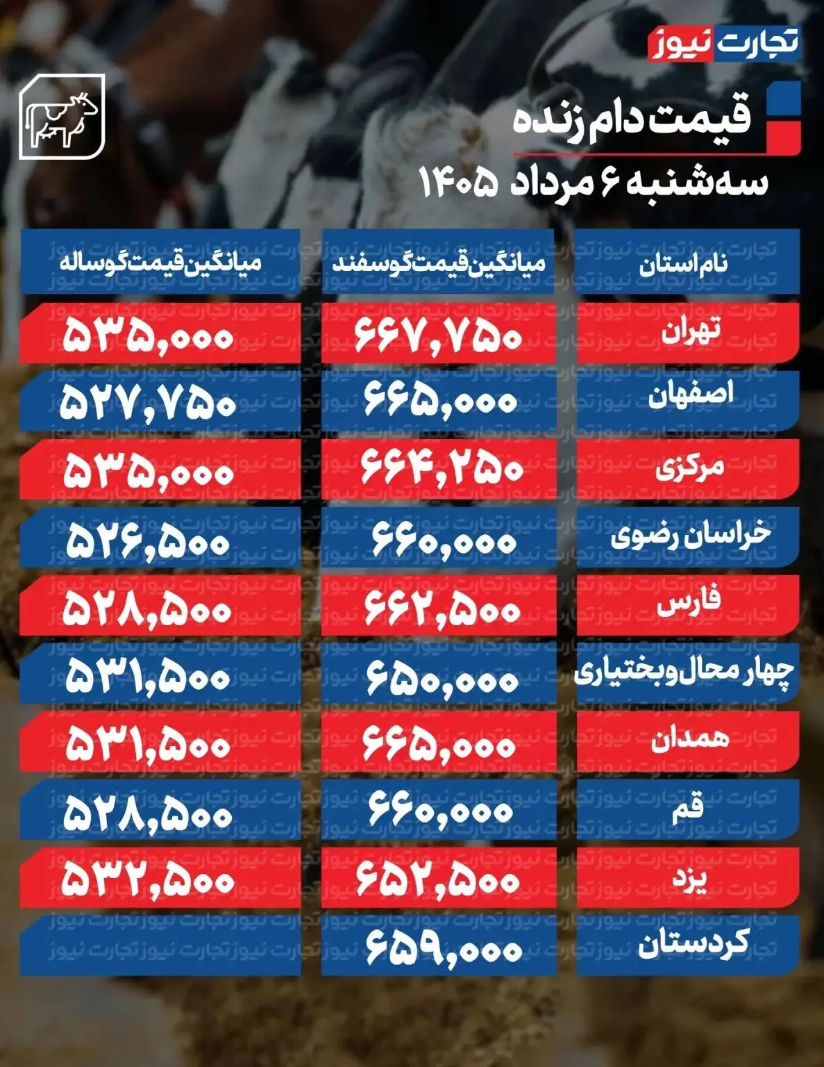 قیمت دام زنده امروز 6 مرداد 1405 - گوساله چند شد؟ + جدول