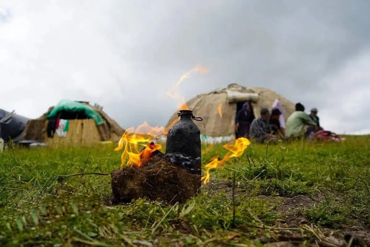 زندگی روی خط کوچ