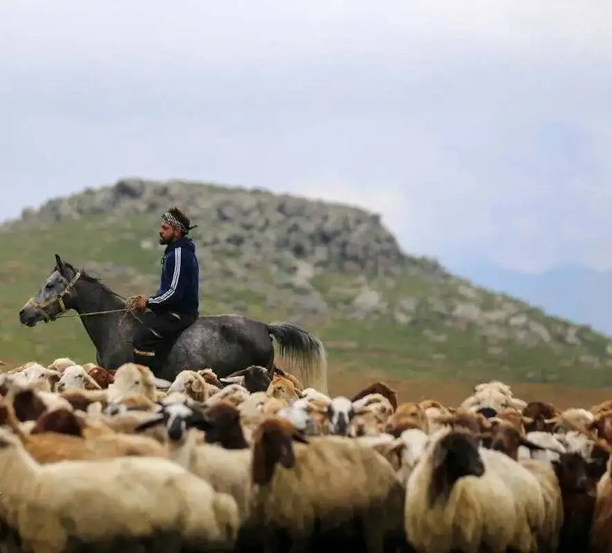زندگی روی خط کوچ