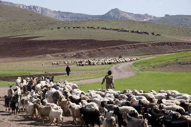 زندگی روی خط کوچ
