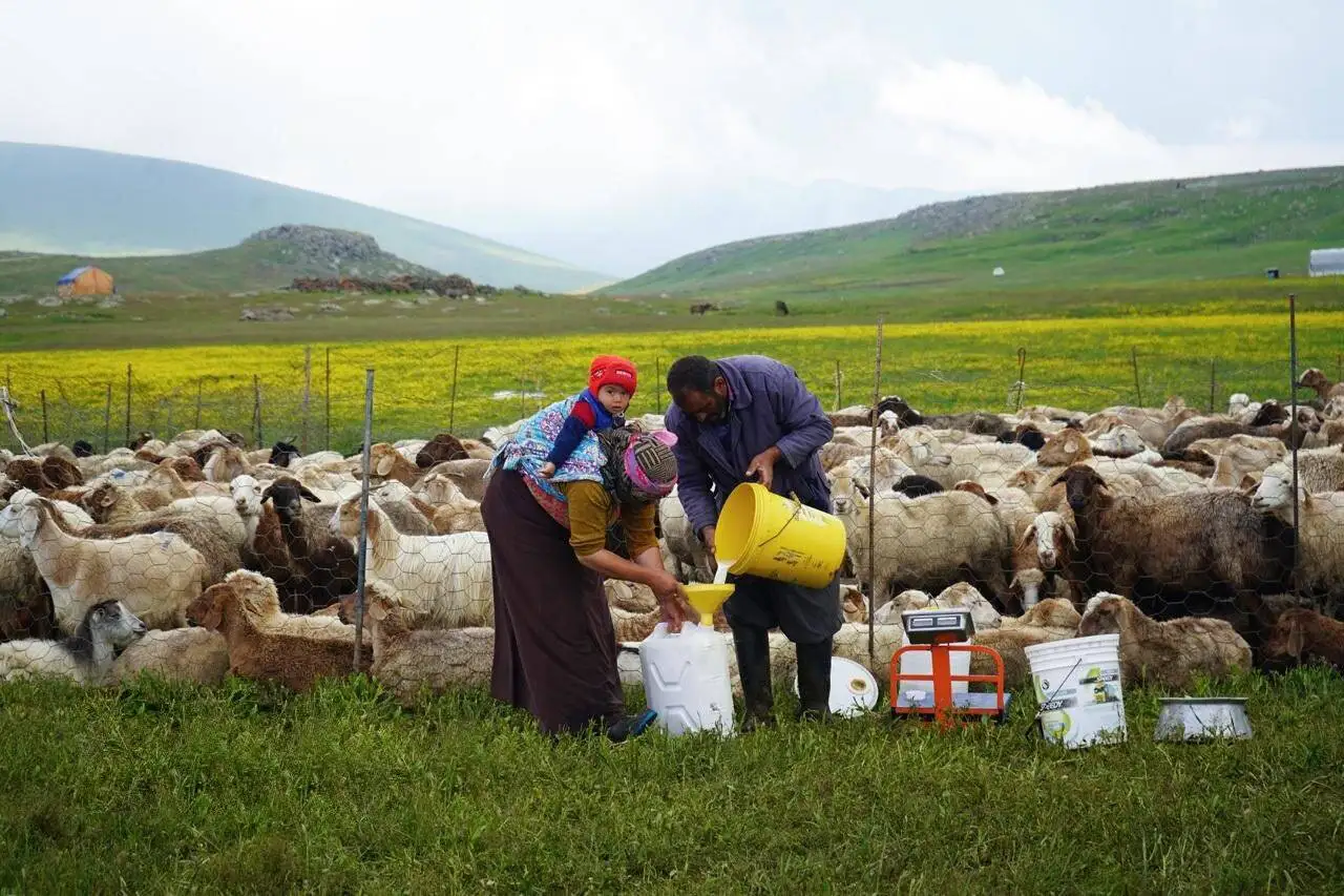 زندگی روی خط کوچ